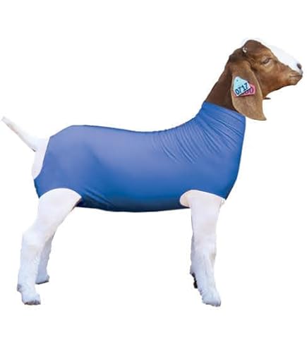 Amazon.com: Show Pro Purple Spandex Goat Tube for Show Goats